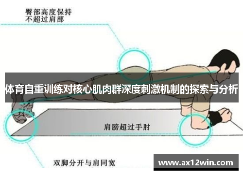 体育自重训练对核心肌肉群深度刺激机制的探索与分析